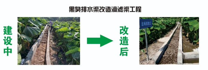 1584684985839894.jpg 1584684985839894.jpg